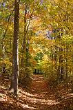 The Old Trace_24633